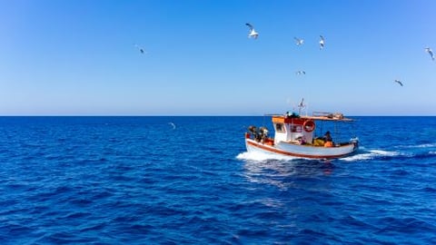 Sustainable fishing