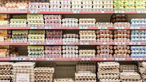 egg carton