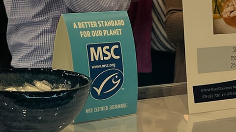 MSC Sign SENA 2023 Teaser