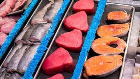 Seafood: 2ton 