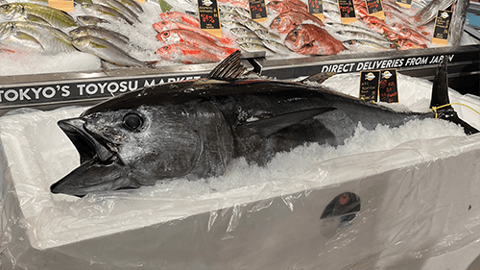 Wegmans Sakanaya Fish Market NYC Teaser