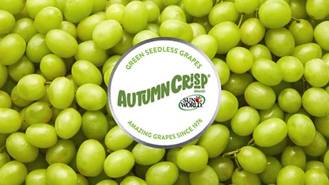 AUTUMNCRISP Grapes Teaser