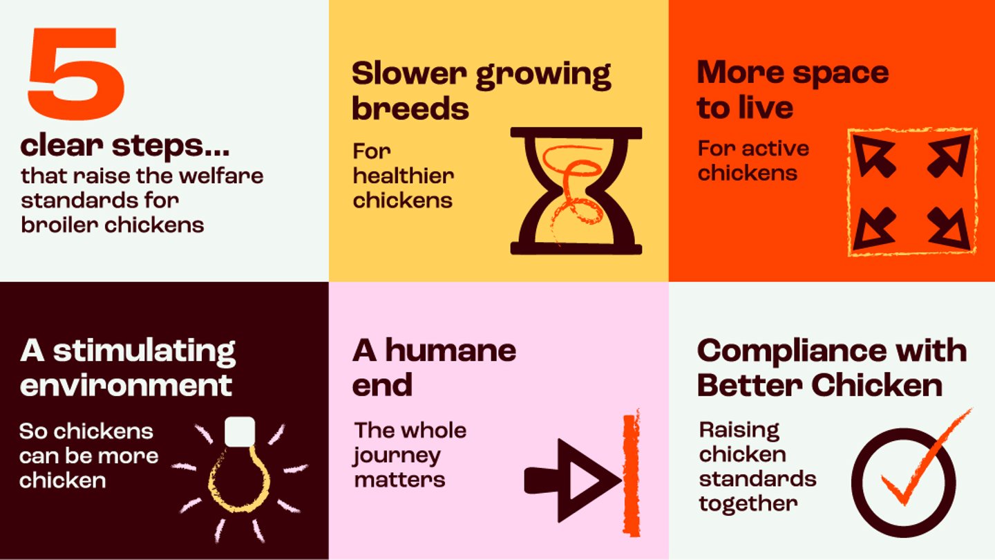 CIWF Visual Assets Main Image